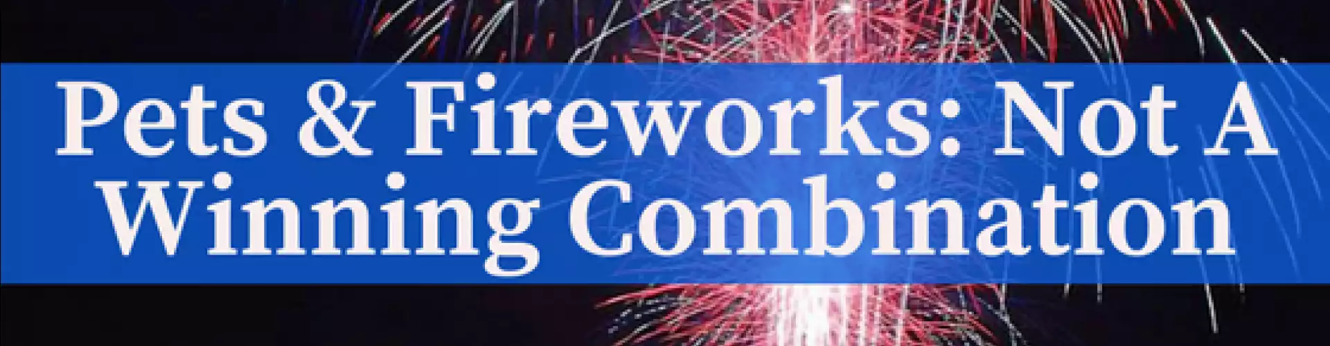 Pets & Fireworks: Not A Winning Combination - Online Class by Janet Roper