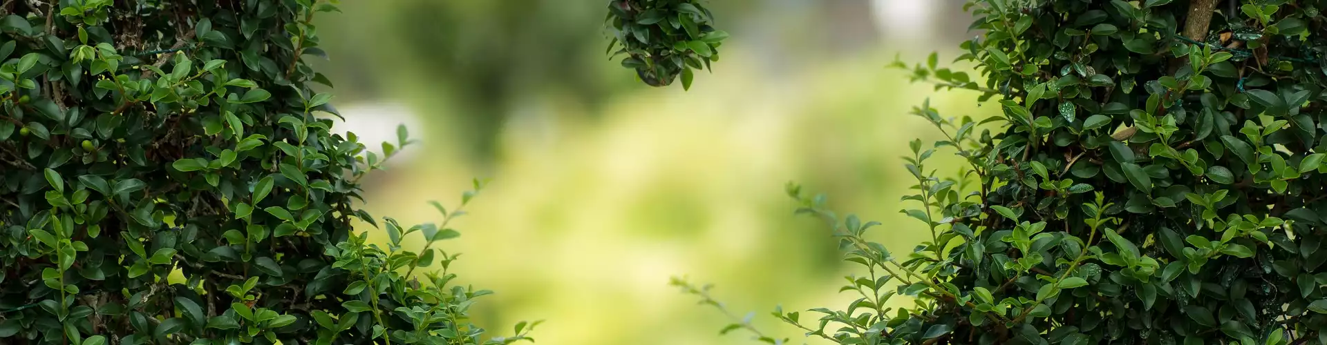 Yoga Prānāyāma pour ouvrir votre chakra du cœur